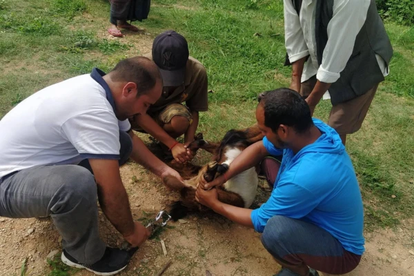 Pre-diploma in Veterinary JTA - Aarati Technical Institute